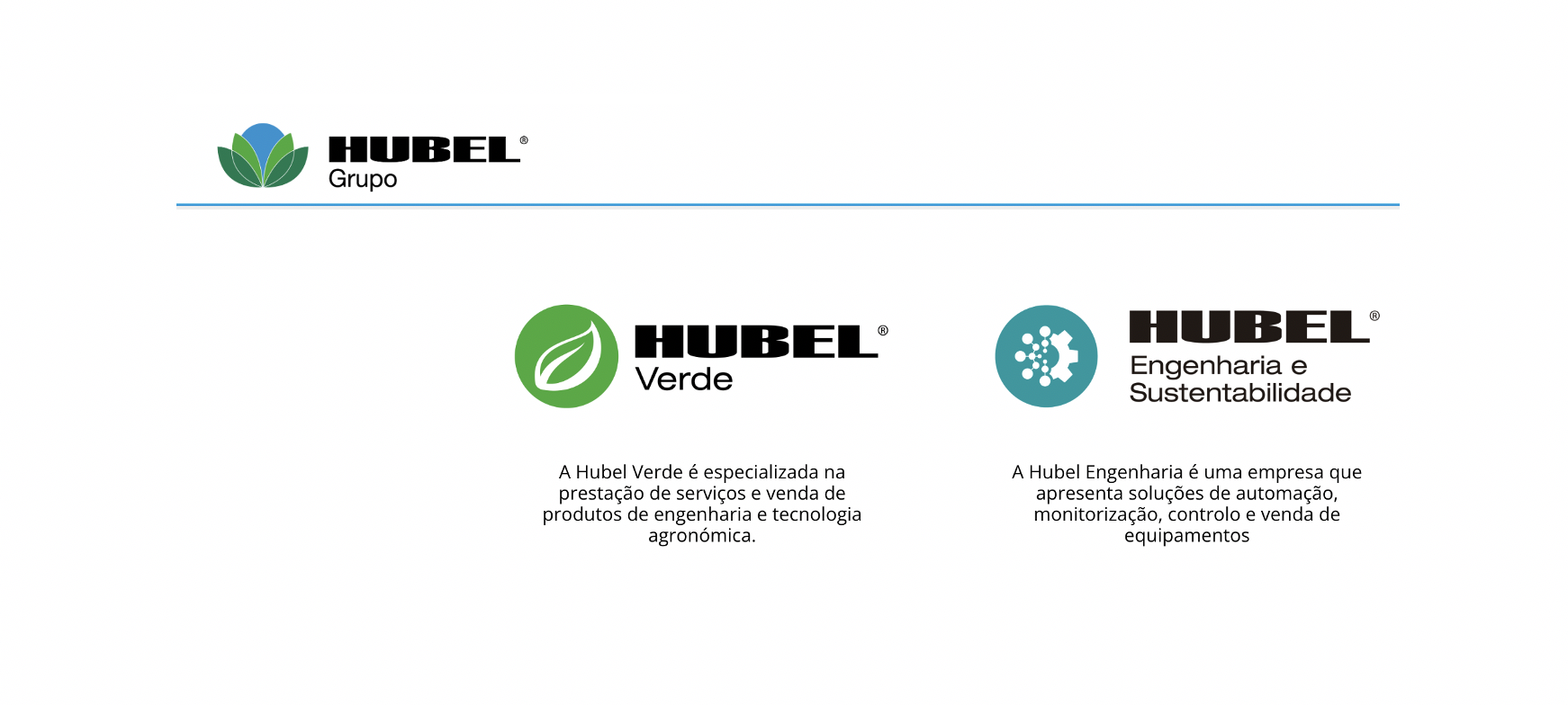 Tal como há 40 anos, Grupo Hubel continua a assentar atividade em produtos que aportem desenvolvimento tecnológico