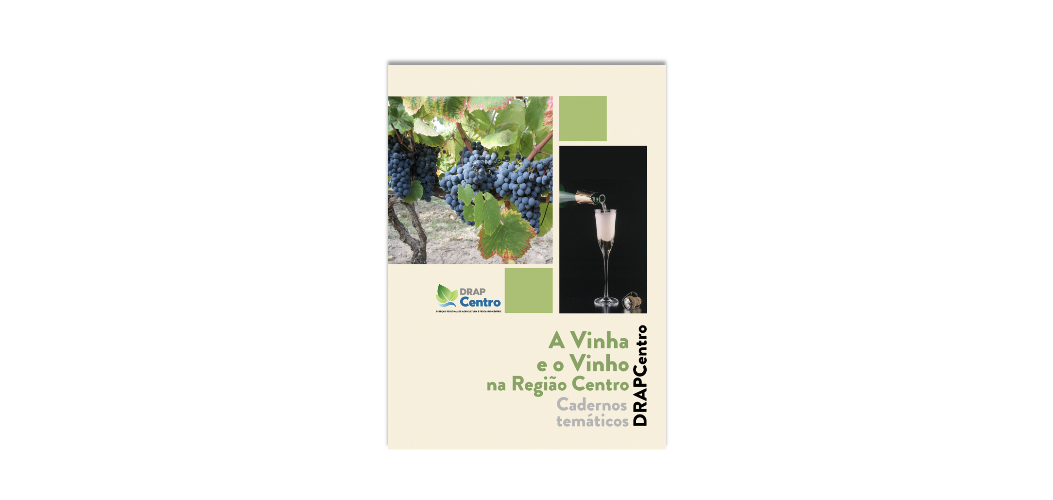 DRAPCentro lança Caderno Temático “A Vinha e o Vinho na Região Centro”