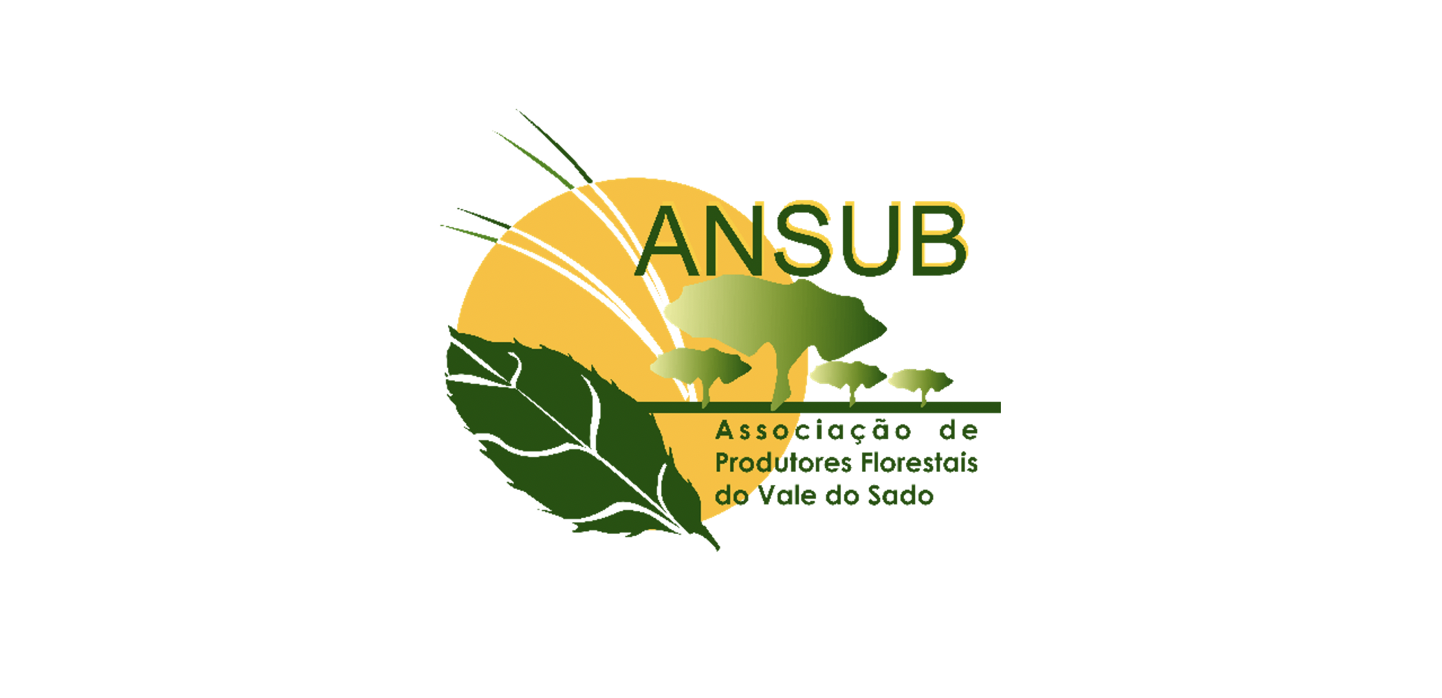 ANSUB está a recrutar em várias áreas