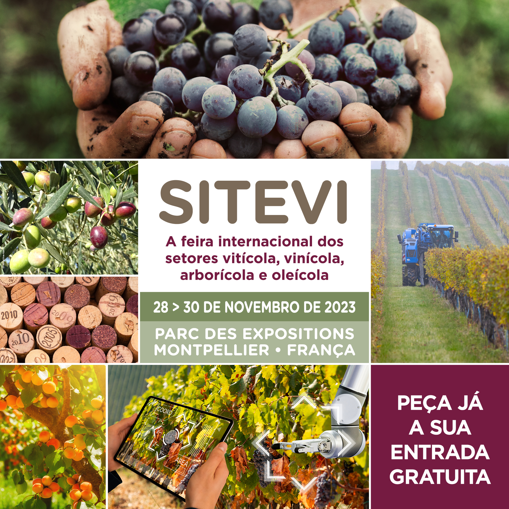 SITEVI, a feira líder nos sectores vitícola, vinícola, arborícola e oleícola (28 a 30 novembro 2023)